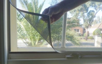 Mosquito Net Window